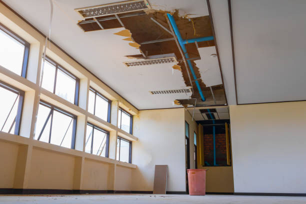 Best Ceiling water damage repair  in Cordes Lakes, AZ