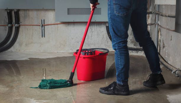 Best Water damage restoration services  in Cordes Lakes, AZ