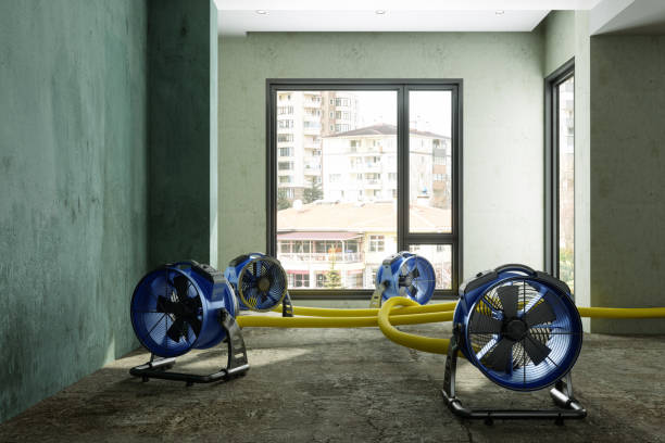 Local water damage restoration in AZ